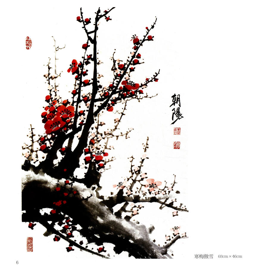 王朝阳写意梅花小品集